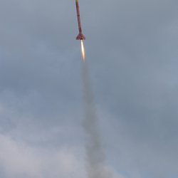 img_8155 ruzovy panter -let 800 ns w